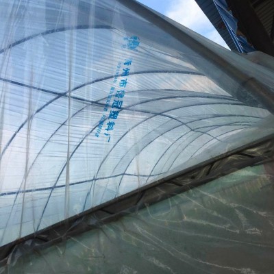 Seedling Green House Polycarbonate Plastic Film Protect Soil pH