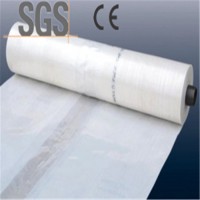 UV Resistant Biodegreadeable Perforated Agriculture Plastic Mulch Film