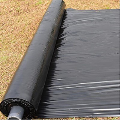 Green House Plastic Mulch Film for Agriculture Agricultural Greenhouse Covering