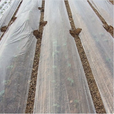 Factory Price Sale Agricultural Mulch Film Plastic