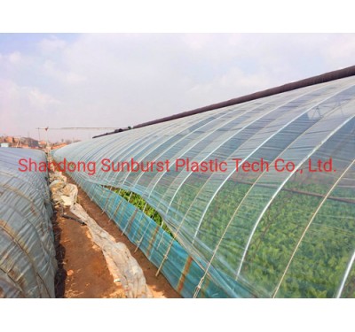 Agriculture Polyethylene (PO) Films PE Greenhouse Film