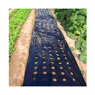 Biodegradable Plastic Mulch Film for Greenhouse Covering Invernadero